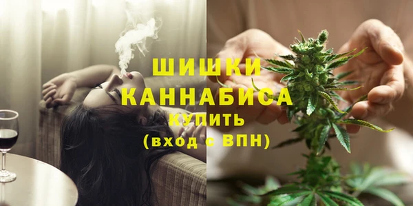 шишки Баксан