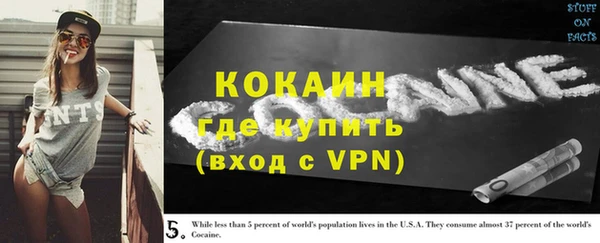 шишки Баксан