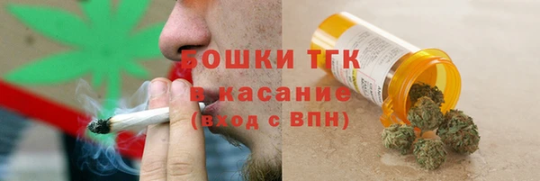 шишки Баксан