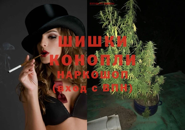 шишки Баксан