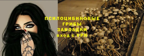 шишки Баксан