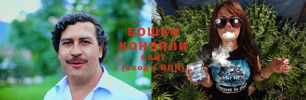 шишки Баксан